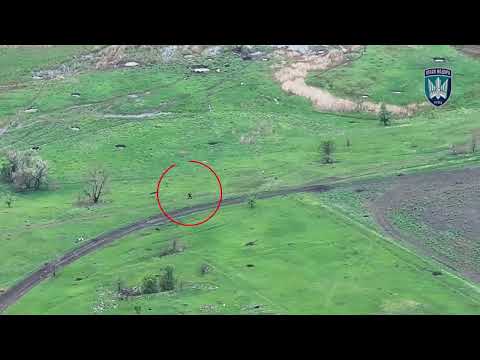 Просвітницький проєкт «13 йобликів»,ч.38 (2сезон).Двійко синіх труханів,джингл белс та «как так то?» (ВІДЕО) Просвітницький проєкт «13 йобликів»,ч.38 (2сезон).Двійко синіх труханів,джингл белс та «как так то?» (ВІДЕО)
