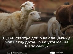 Дотації на кіз і овець: аграрії можуть подавати заявки через ДАР Дотації-на-кіз-і-овець:-аграрії-можуть-подавати-заявки-через-ДАР
