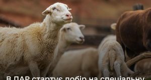 Дотації на кіз і овець: аграрії можуть подавати заявки через ДАР Дотації-на-кіз-і-овець:-аграрії-можуть-подавати-заявки-через-ДАР