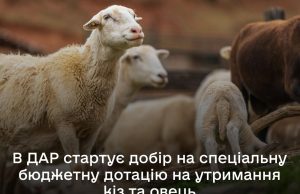 Дотації на кіз і овець: аграрії можуть подавати заявки через ДАР Дотації-на-кіз-і-овець:-аграрії-можуть-подавати-заявки-через-ДАР