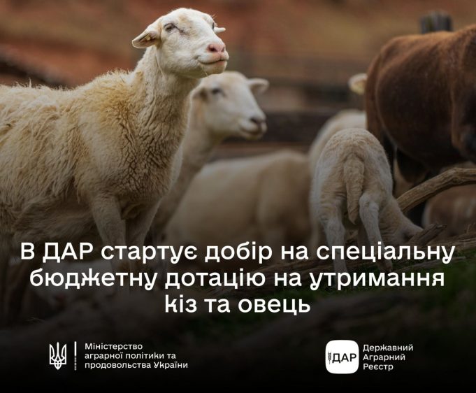 Дотації на кіз і овець: аграрії можуть подавати заявки через ДАР Дотації-на-кіз-і-овець:-аграрії-можуть-подавати-заявки-через-ДАР
