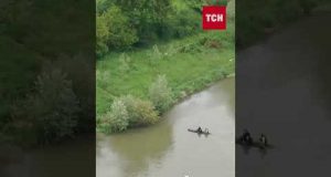 Замість фронту – до Румунії та Молдови! Викрито нову масштабну схему втечі за кордон! (ВІДЕО) Замість фронту – до Румунії та Молдови! Викрито нову масштабну схему втечі за кордон! (ВІДЕО)