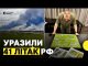 Результати спецоперації СБУ | Авіаексперт про удар по бомбардувальникам РФ (ВІДЕО) Результати спецоперації СБУ | Авіаексперт про удар по бомбардувальникам РФ (ВІДЕО)