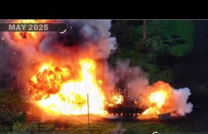 Report of the work of Magyar Birds for May 2025. 1 target every 7 min.... Report of the work of Magyar Birds for May 2025. 1 target every 7 min....