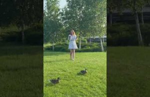 Річка Риловиця — частина нашого міста, яка заслуговує на догляд. (ВІДЕО) Річка Риловиця — частина нашого міста, яка заслуговує на догляд. (ВІДЕО)