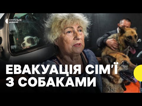 Евакуація з прикордоння Сумщини | «Білий янгол» вивезли сім’ю з собаками (ВІДЕО) Евакуація з прикордоння Сумщини | «Білий янгол» вивезли сім’ю з собаками (ВІДЕО)