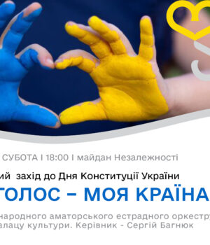 До-Дня-Конституції-України-у-Нововолинську-відбудеться-благодійний-захід До-Дня-Конституції-України-у-Нововолинську-відбудеться-благодійний-захід