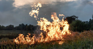 Рятувальники нагадують: не паліть суху рослинність Рятувальники-нагадують:-не-паліть-суху-рослинність