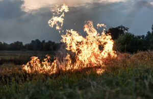 Рятувальники нагадують: не паліть суху рослинність Рятувальники-нагадують:-не-паліть-суху-рослинність