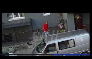 «Рембо проти вазонів»: у Володимирі чоловік з мотокосою влаштував квіткову зачистку у дворі (ВІДЕО) «Рембо проти вазонів»: у Володимирі чоловік з мотокосою влаштував квіткову зачистку у дворі (ВІДЕО)