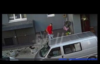 «Рембо проти вазонів»: у Володимирі чоловік з мотокосою влаштував квіткову зачистку у дворі (ВІДЕО) «Рембо проти вазонів»: у Володимирі чоловік з мотокосою влаштував квіткову зачистку у дворі (ВІДЕО)