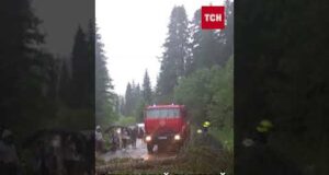 ЩО за СТРАШНА НАПАСТЬ?! ДРУГУ ніч Україну накриває НЕГОДА! (ВІДЕО) ЩО за СТРАШНА НАПАСТЬ?! ДРУГУ ніч Україну накриває НЕГОДА! (ВІДЕО)