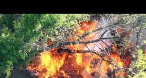 Птахи Мадяра: звіт ВЙО за червень 2025 р. Працює 414 обр (ВІДЕО) Птахи Мадяра: звіт ВЙО за червень 2025 р. Працює 414 обр (ВІДЕО)