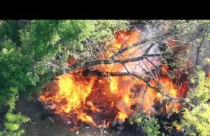 Птахи Мадяра: звіт ВЙО за червень 2025 р. Працює 414 обр (ВІДЕО) Птахи Мадяра: звіт ВЙО за червень 2025 р. Працює 414 обр (ВІДЕО)