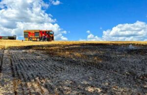 Рятувальники нагадують, як вберегтися від пожежі під час жнив Рятувальники-нагадують,-як-вберегтися-від-пожежі-під-час-жнив