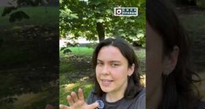 Як на Волині карають за сприяння ухилянтам-втікачам (ВІДЕО) Як на Волині карають за сприяння ухилянтам-втікачам (ВІДЕО)