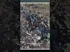 ГУР знищило ПОНАД 8 РОТ рф на Сумщині (ВІДЕО) ГУР знищило ПОНАД 8 РОТ рф на Сумщині (ВІДЕО)