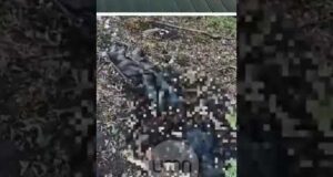 ГУР знищило ПОНАД 8 РОТ рф на Сумщині (ВІДЕО) ГУР знищило ПОНАД 8 РОТ рф на Сумщині (ВІДЕО)