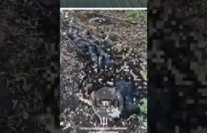 ГУР знищило ПОНАД 8 РОТ рф на Сумщині (ВІДЕО) ГУР знищило ПОНАД 8 РОТ рф на Сумщині (ВІДЕО)