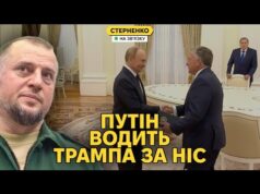 Росія нічого не змогла! – кадирівець проговорився у ефірі. Віткофф вже у Москві (ВІДЕО) Росія нічого не змогла! – кадирівець проговорився у ефірі. Віткофф вже у Москві (ВІДЕО)