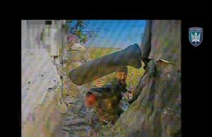 Передчас Аляски бригаду хробаків стерли – 2500 штучок за 2 тижні серпня силами Угруповання СБС.... Передчас Аляски бригаду хробаків стерли – 2500 штучок за 2 тижні серпня силами Угруповання СБС....