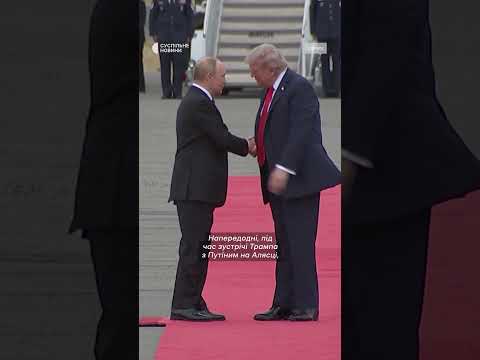 Зеленський передав Меланії Трамп лист із подякою від Олени Зеленської (ВІДЕО) Зеленський передав Меланії Трамп лист із подякою від Олени Зеленської (ВІДЕО)