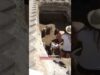 Археологічні розкопки проти російської пропаганди (ВІДЕО) Археологічні розкопки проти російської пропаганди (ВІДЕО)