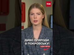 НЕЙМОВІРНІ КАДРИ З ПОКРОВСЬКА! Дерева проростають З РУЇН! (ВІДЕО) НЕЙМОВІРНІ КАДРИ З ПОКРОВСЬКА! Дерева проростають З РУЇН! (ВІДЕО)