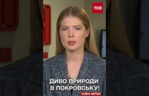 НЕЙМОВІРНІ КАДРИ З ПОКРОВСЬКА! Дерева проростають З РУЇН! (ВІДЕО) НЕЙМОВІРНІ КАДРИ З ПОКРОВСЬКА! Дерева проростають З РУЇН! (ВІДЕО)
