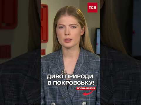 НЕЙМОВІРНІ КАДРИ З ПОКРОВСЬКА! Дерева проростають З РУЇН! (ВІДЕО) НЕЙМОВІРНІ КАДРИ З ПОКРОВСЬКА! Дерева проростають З РУЇН! (ВІДЕО)