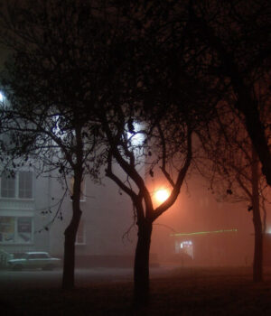 DSC03071 Комфорт таксі у Нововолинськ