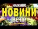 НАЖИВО! ВЕЧІРНІ НОВИНИ НЕДІЛІ, 31 СЕРПНЯ (ВІДЕО) НАЖИВО! ВЕЧІРНІ НОВИНИ НЕДІЛІ, 31 СЕРПНЯ (ВІДЕО)