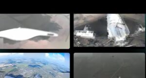 Report on the results of the Birds of the USF Group for August 2025. Eyes... Report on the results of the Birds of the USF Group for August 2025. Eyes...