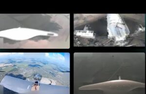 Report on the results of the Birds of the USF Group for August 2025. Eyes... Report on the results of the Birds of the USF Group for August 2025. Eyes...