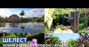 Новий осередок спокою: як маєток «Шелест» змінює уявлення про відпочинок поблизу Нововолинська (ВІДЕО) Новий осередок спокою: як маєток «Шелест» змінює уявлення про відпочинок поблизу Нововолинська (ВІДЕО)