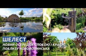 Новий осередок спокою: як маєток «Шелест» змінює уявлення про відпочинок поблизу Нововолинська (ВІДЕО) Новий осередок спокою: як маєток «Шелест» змінює уявлення про відпочинок поблизу Нововолинська (ВІДЕО)