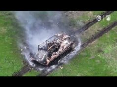 Пори року різні у Вівальді, але не у хробаків. (ВІДЕО) Пори року різні у Вівальді, але не у хробаків. (ВІДЕО)