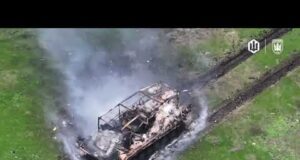 Пори року різні у Вівальді, але не у хробаків. (ВІДЕО) Пори року різні у Вівальді, але не у хробаків. (ВІДЕО)