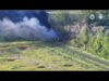 Пташині будні- хробачі гойдалки. (ВІДЕО) Пташині будні- хробачі гойдалки. (ВІДЕО)