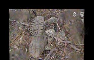 Трек “Останнє фото”Автор: The Bloger UA, 414 обр Птахи Мадяра. (ВІДЕО) Трек “Останнє фото”Автор: The Bloger UA, 414 обр Птахи Мадяра. (ВІДЕО)