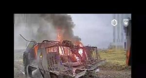 Хробачі будні, Пташине повсякденне (ВІДЕО) Хробачі будні, Пташине повсякденне (ВІДЕО)