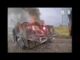 Хробачі будні, Пташине повсякденне (ВІДЕО) Хробачі будні, Пташине повсякденне (ВІДЕО)