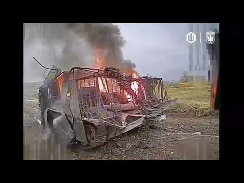 Хробачі будні, Пташине повсякденне (ВІДЕО)