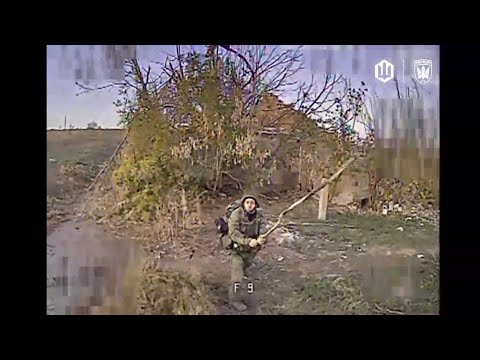 Щось з лицем, хробак. Знимкують Птахи Мадяра. (ВІДЕО)