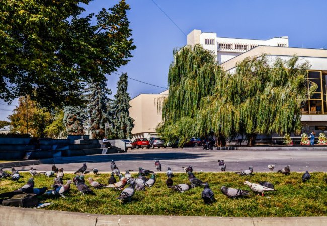 Чи-покарають-молодь,-яка-смітить-біля-фонтанів-на-Театральному-майдані-Луцька
