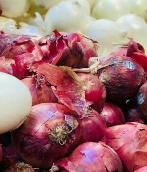 Ціни-на-цибулю-знову-почали-«кусатися»:-що-відбувається-на-полях Ціни-на-цибулю-знову-почали-«кусатися»:-що-відбувається-на-полях