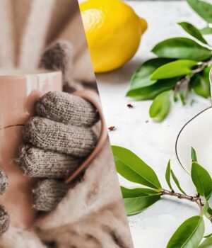 Дієтолог-розповів,-чому-варто-пити-зелений-чай-з-лимоном