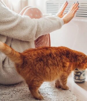 Повідомили,-коли-в-Луцьку-увімкнуть-опалення