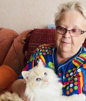 На-Волині-тривають-пошуки-жінки,-яка-зникла-у-лісі На-Волині-тривають-пошуки-жінки,-яка-зникла-у-лісі