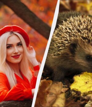 Сьогодні-вітаємо-військових:-яке-свято-в-Україні-29-жовтня-2025-року Сьогодні-вітаємо-військових:-яке-свято-в-Україні-29-жовтня-2025-року